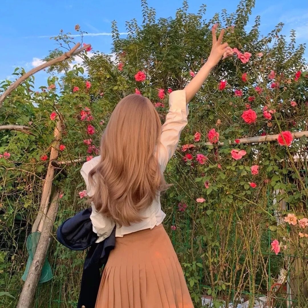 樱花革命:花开时的少女们